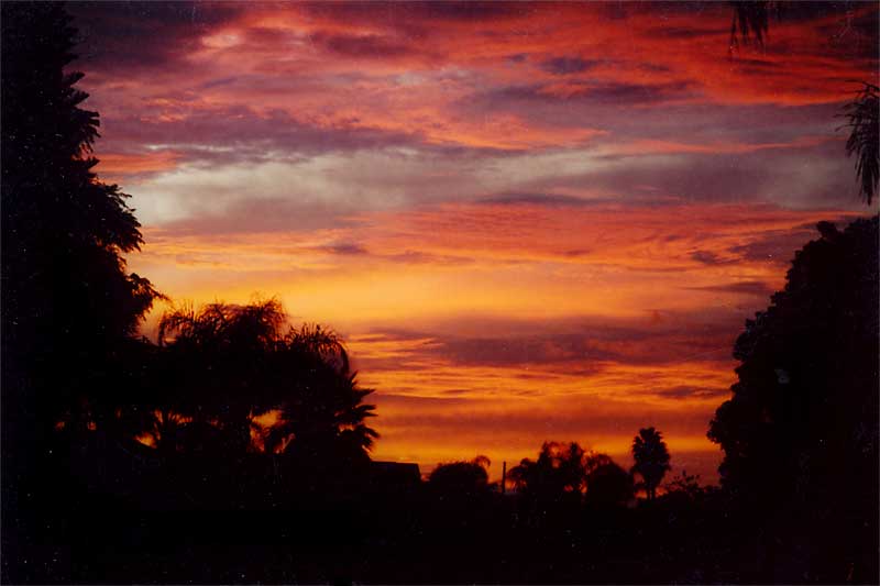 Backyard Sunset