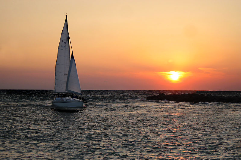 Sailing Home