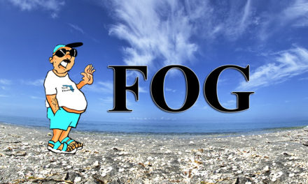 Meet FOG